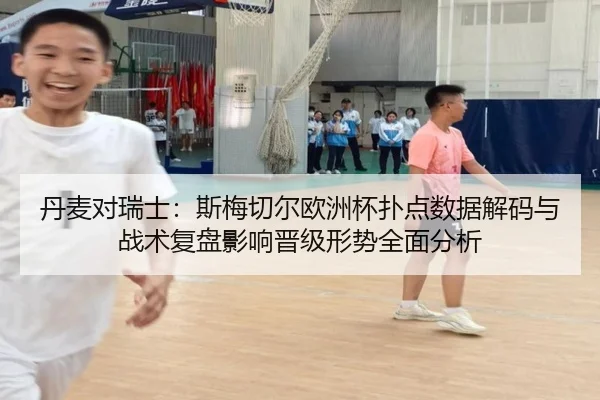 丹麦对瑞士：斯梅切尔欧洲杯扑点数据解码与战术复盘影响晋级形势全面分析